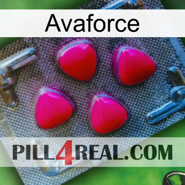 Avaforce 13.jpg